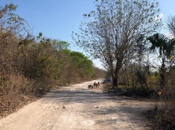 Terreno / Lote · 20000m² · Terreno en Venta en Carretera Mahahual