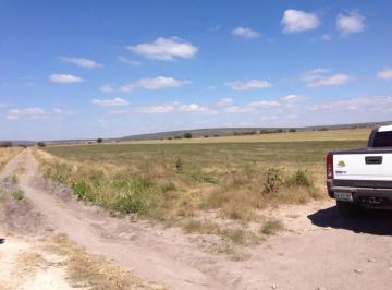 Terreno / Lote · 38m² · Terreno en Venta en Corral de Piedras Guanajuato | Acm0142