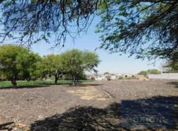 Terreno / Lote · 12000m² · Terreno - Los Olvera