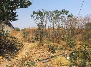 Terreno / Lote · 5350m² · Terreno en Venta Lago de Tequesquitengo, Morelos