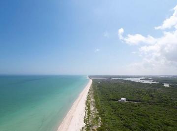 Terreno / Lote · 7832m² · Terreno en Venta, Playa de Sisal, Yucatan