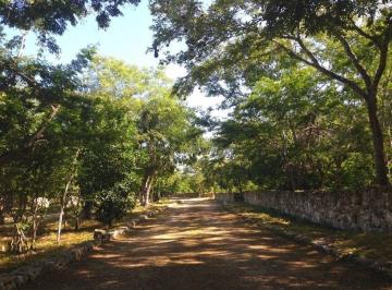 Terreno / Lote · 8026m² · Terreno en Venta en Priv. Puerta Mayab