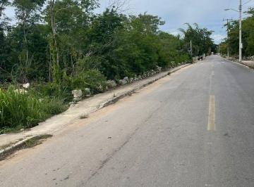 Terreno / Lote · 8000m² · Terreno en Venta, Xcunya, Merida Yucatán