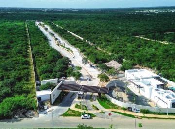Terreno / Lote · 353m² · Lote Residencial en Santa Gertrudis Copo, Entretat