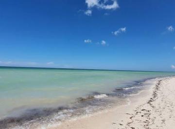 Terreno / Lote · 918m² · Terreno en Venta, Frente Al Mar, Telchac, Yucatán