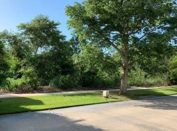 Terreno / Lote · 790m² · Terreno en Venta Paseo del Jaguar en El Yucatan Country Club, Mérida, Yucatán