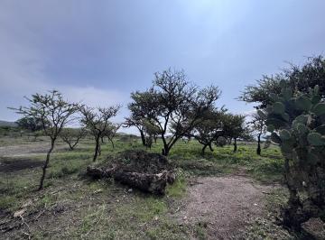 Terreno / Lote · Terreno en Venta