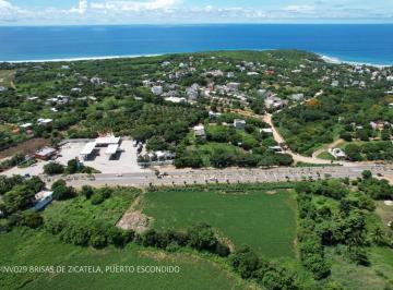 Terreno / Lote , Santa María Colotepec · Ubicación Estratégica en Renta Sobre Carretera Costera | Ideal Para Marcas | Puerto Escondido