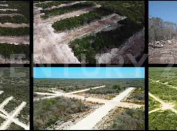 Terreno / Lote · 300m² · Terreno en Venta en Desarrollo Tres Raices Lote 224, en Flamboyanes, Progreso