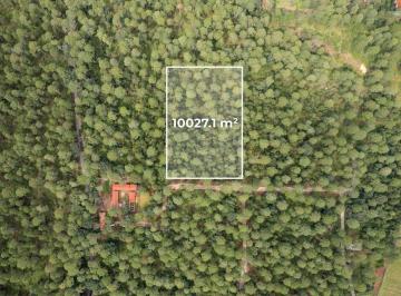 Terreno / Lote · 10027m² · Terreno en Venta en Maderas Tapalpa