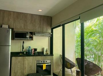 Departamento · Cacao #c101