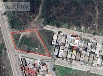 Terreno / Lote · 1252m² · Terreno Col. Balcones de La Joya.