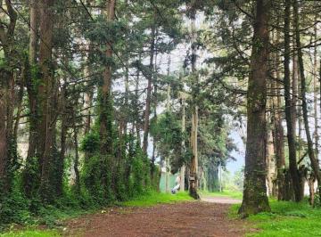 Terreno / Lote · 3343m² · Venta de Terreno en Popo Park, Amecameca