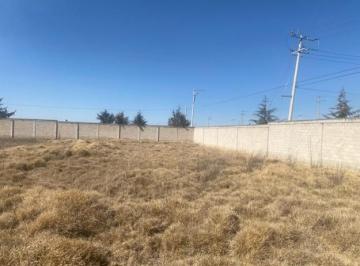 Terreno / Lote , Almoloya de Juárez · Terreno en Venta Toluca - Cerca Caseta del Dorado 25,756 m