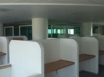 Oficina · 357m² · Oficina en Renta Av Domingo Diez
