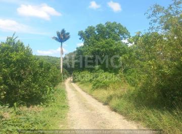 Terreno / Lote · 70m² · 2 Recámaras · Terreno en Venta 8 Hectáreas en Lázaro Cárdenas, Tihuatlán, Ver.