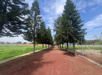 Terreno / Lote · 15000m² · Terreno en Venta en El Zapote