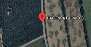 Terreno / Lote · 100000m² · Terreno en Hacienda Palmitos en Cadereyta Nl