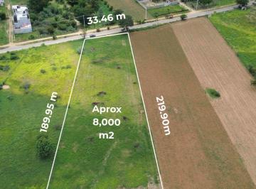 Terreno / Lote , Santa Cruz Xoxocotlán · Terreno en Venta, 8000 m², San Raymundo Jalpan