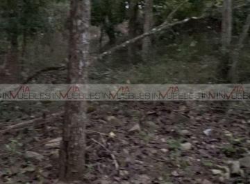 Terreno / Lote · 494m² · Terreno / Lote en Venta en Allende