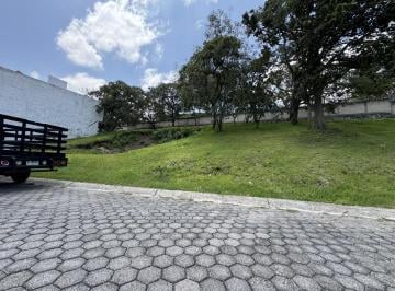 Terreno / Lote · 209m² · Terreno en Bosque Real