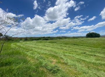 Terreno / Lote , El Marqués · Terreno en Venta en Amazcala, El Marques
