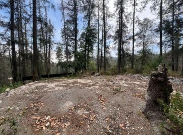 Terreno / Lote 300m² Venta Barrio Pueblo Nuevo · Terreno en Bosque