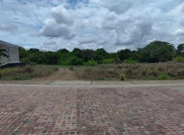 Terreno / Lote · 867m² · Tv2 Terreno en Venta Punta Tiburon Marina & Golf