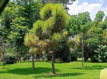 Terreno / Lote , Tlajomulco de Zúñiga · Se Vende Terreno en Santa Anita