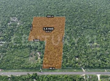 Terreno / Lote · 56000m² · Terreno en Venta Sobre Carretera Federal, Tulum