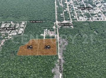 Terreno / Lote · 22816m² · Terreno en Venta en Región 10, Tulum, Quintana Roo