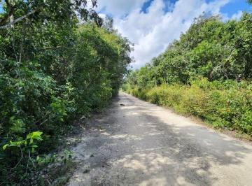 Terreno / Lote · 274m² · Terreno en Venta en Cancun Santa Ana
