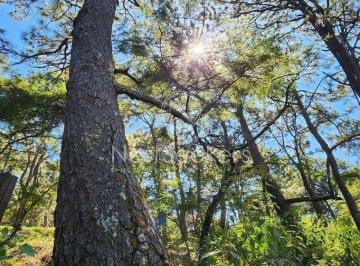 Terreno / Lote , Valle de Bravo · Terreno a Pocos Minutos del Centro de Avandaro y Club de Golf