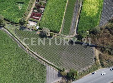 Terreno / Lote · 4790m² · Terreno en Venta en Xochitepec, Morelos