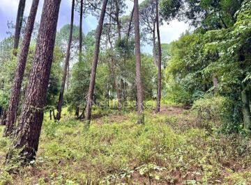 Terreno / Lote , Valle de Bravo · Terreno en Venta en Avandaro con Rio