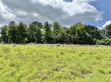 Terreno / Lote , Valle de Bravo · Terreno en Venta en El Fresno, Valle de Bravo