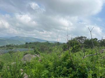 Terreno / Lote , Tala · Terreno en Venta 11,250,000