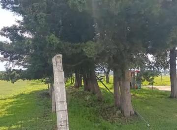 Terreno / Lote · 100m² · Se Vende Rancho de 80 Ha en Ixtlahuaca Edo. de Mexico.