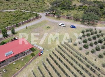 Terreno / Lote · 3554m² · Terreno Residencial en Venta en El Vegil, Huimilpan Querétaro - (4)