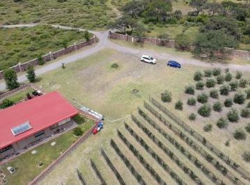 Terreno / Lote · 3554m² · Terreno Residencial en Venta en El Vegil, Huimilpan Querétaro - (4)