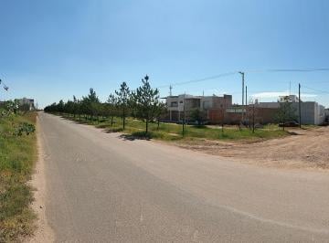 Terreno / Lote · 196m² · Terreno en Venta en Colonia Buenos Aires - (4)