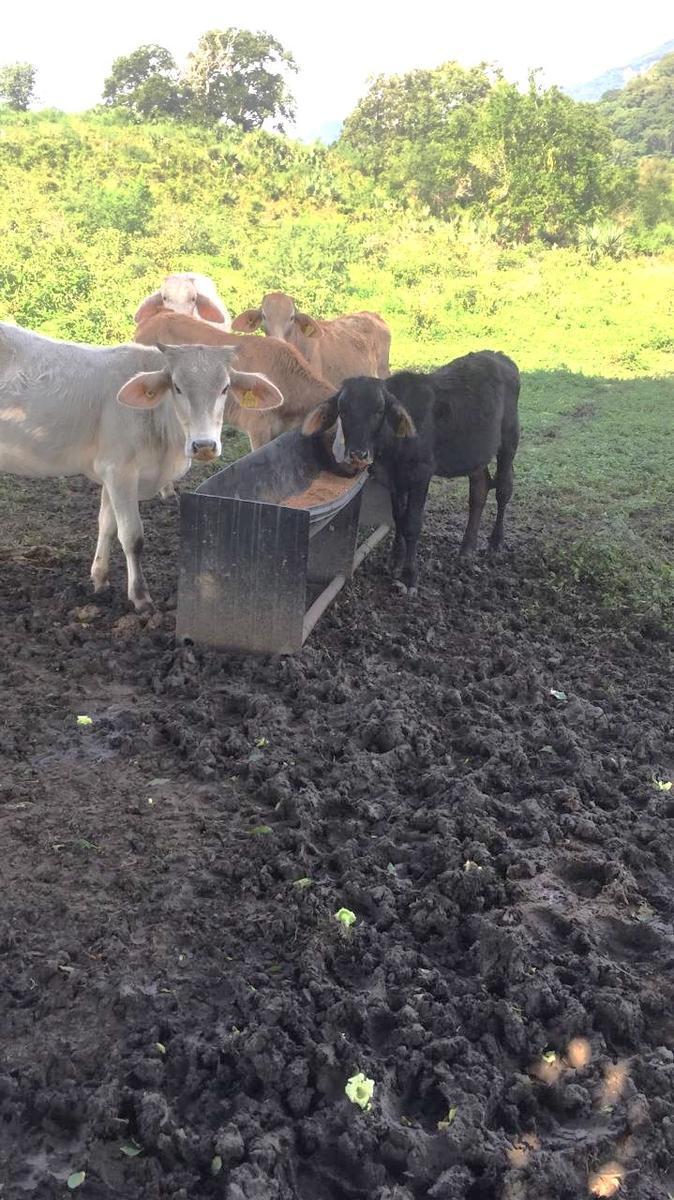 Rancho in Tepetzintla, 47 km from Tuxpam, Veracruz
