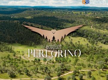 Terreno / Lote · 1000m² · Terrenos en Venta en Residencial Campestre Bosques Peregrino Durango