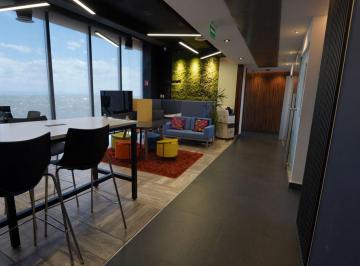 Oficina Renta MN 32,500 · Level - Oficina en Renta de 50 m²