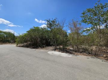 Terreno / Lote , Mérida · Terreno en Esquina en Dzitya.