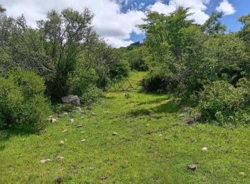 Terreno / Lote · 10000m² · Macrolote en Venta, El Lagunilla, Carretera a Jalpa, San Miguel de Allende