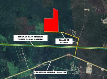 Terreno / Lote · 500000m² · Magnifico Terreno de 50 Hectáreas con Accesos, Carretera Mérida - Cancún