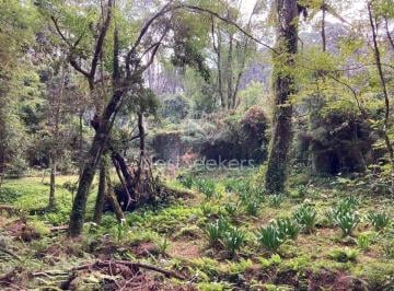Terreno / Lote , Valle de Bravo · Terreno en Venta en Condominio con Seguridad en Avandaro