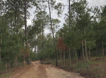 Terreno / Lote , Atemajac de Brizuela · Terreno en Venta en Fracc Privado en Atemajac de Brizuela