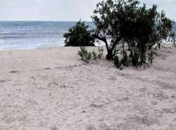 Terreno / Lote · 245800m² · Terreno en Playa del Carmen